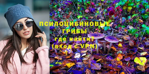 метадон Армянск