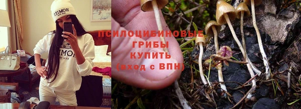 метадон Армянск