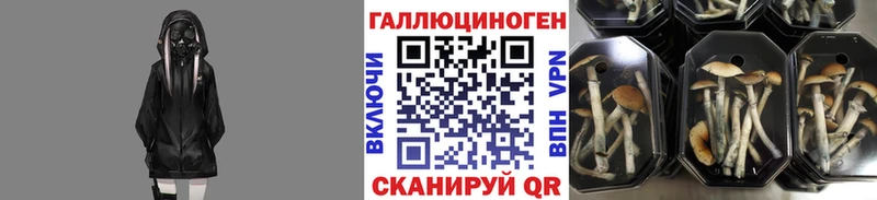 Галлюциногенные грибы ЛСД  Обоянь 