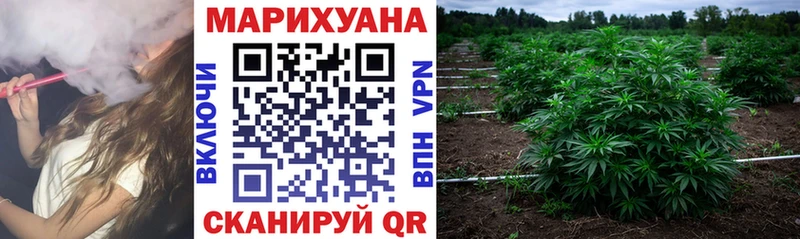 Каннабис MAZAR  Обоянь 